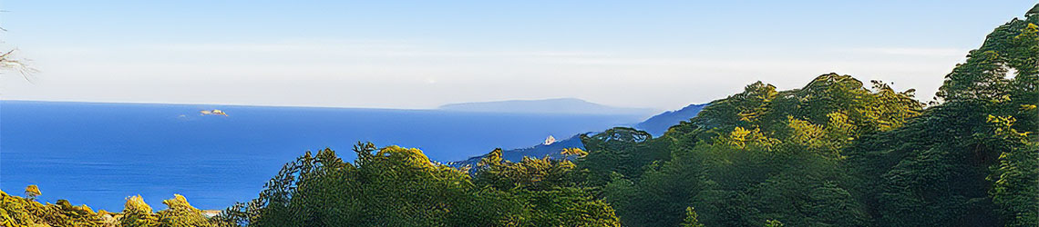 GREジャパンリミテッド株式会社について